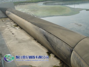 Yantai-Sunny-Rubber-Co-Ltd- 21 Yantai-Sunny-Rubber-Co-Ltd- 21